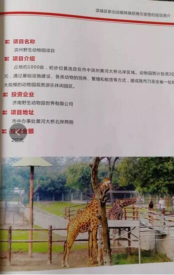 厲害了我的大濱州，15個招商引資項目集中簽約！